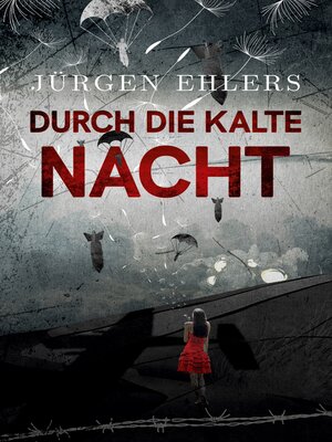 cover image of Durch die kalte Nacht